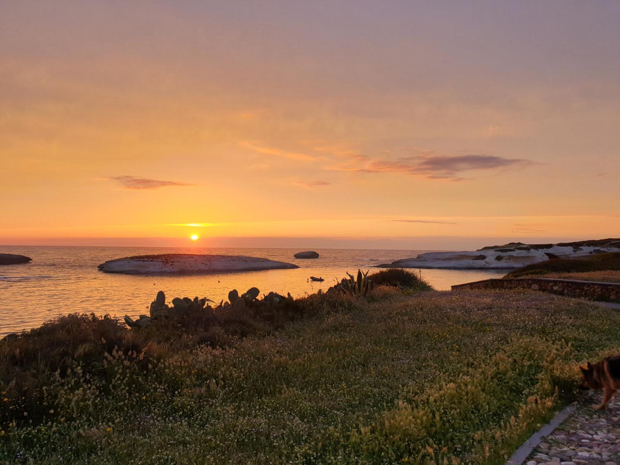 Mare Lughente Bed & Breakfast S'Archittu Dış mekan fotoğraf