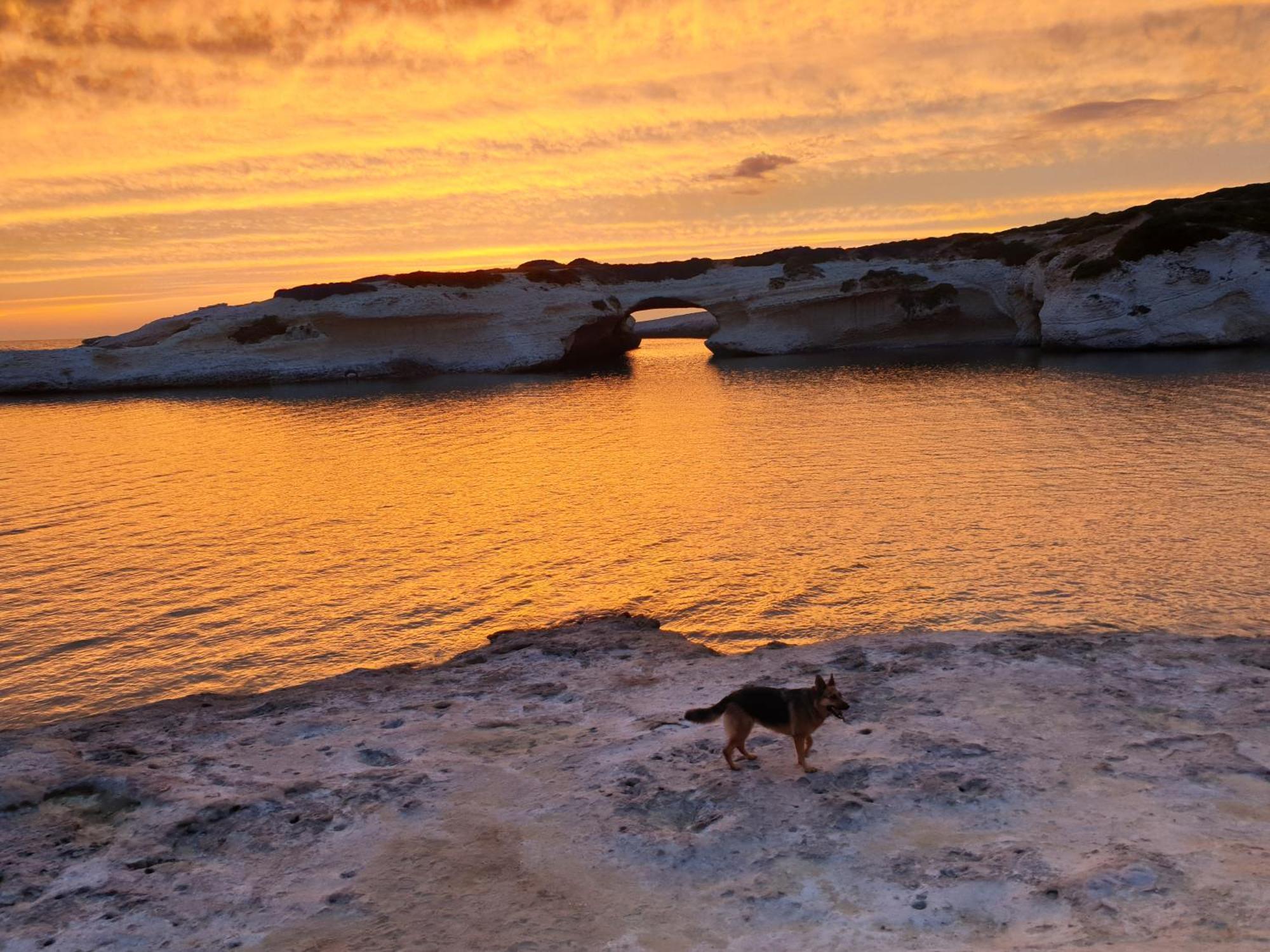 Mare Lughente Bed & Breakfast S'Archittu Dış mekan fotoğraf