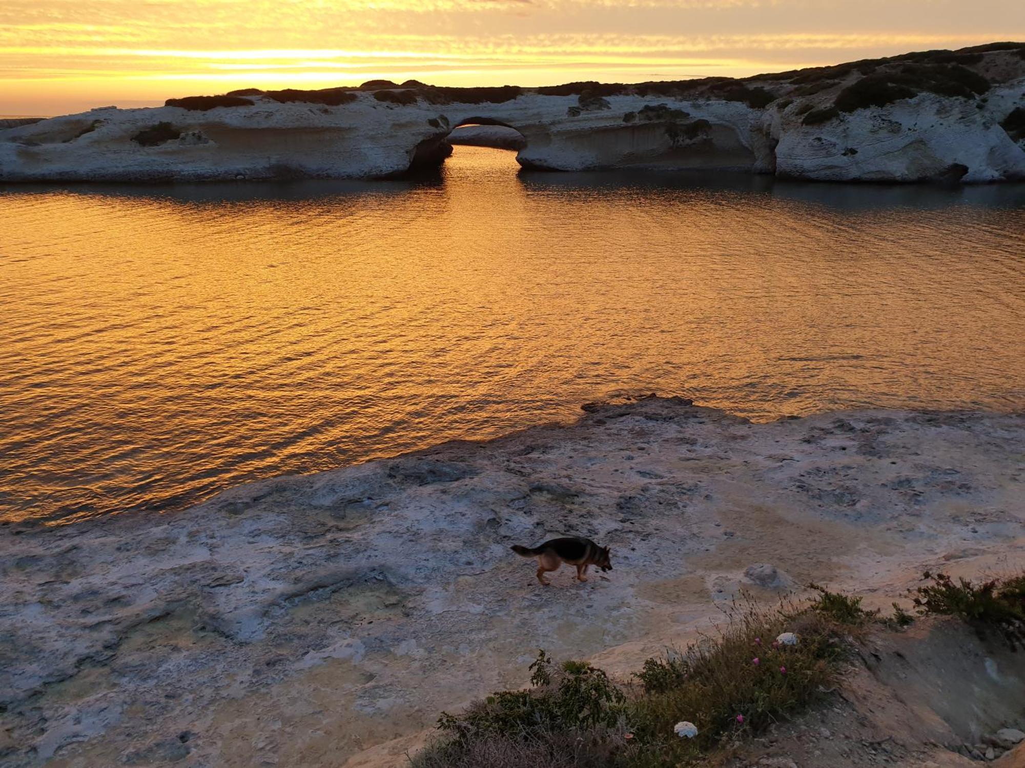 Mare Lughente Bed & Breakfast S'Archittu Dış mekan fotoğraf